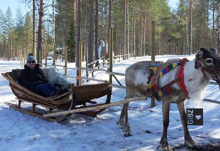 Hei hei! Hyvää päivää! FAGE-Lehrerin Regula Pauli startet ihren Bildungsurlaub in Finnland